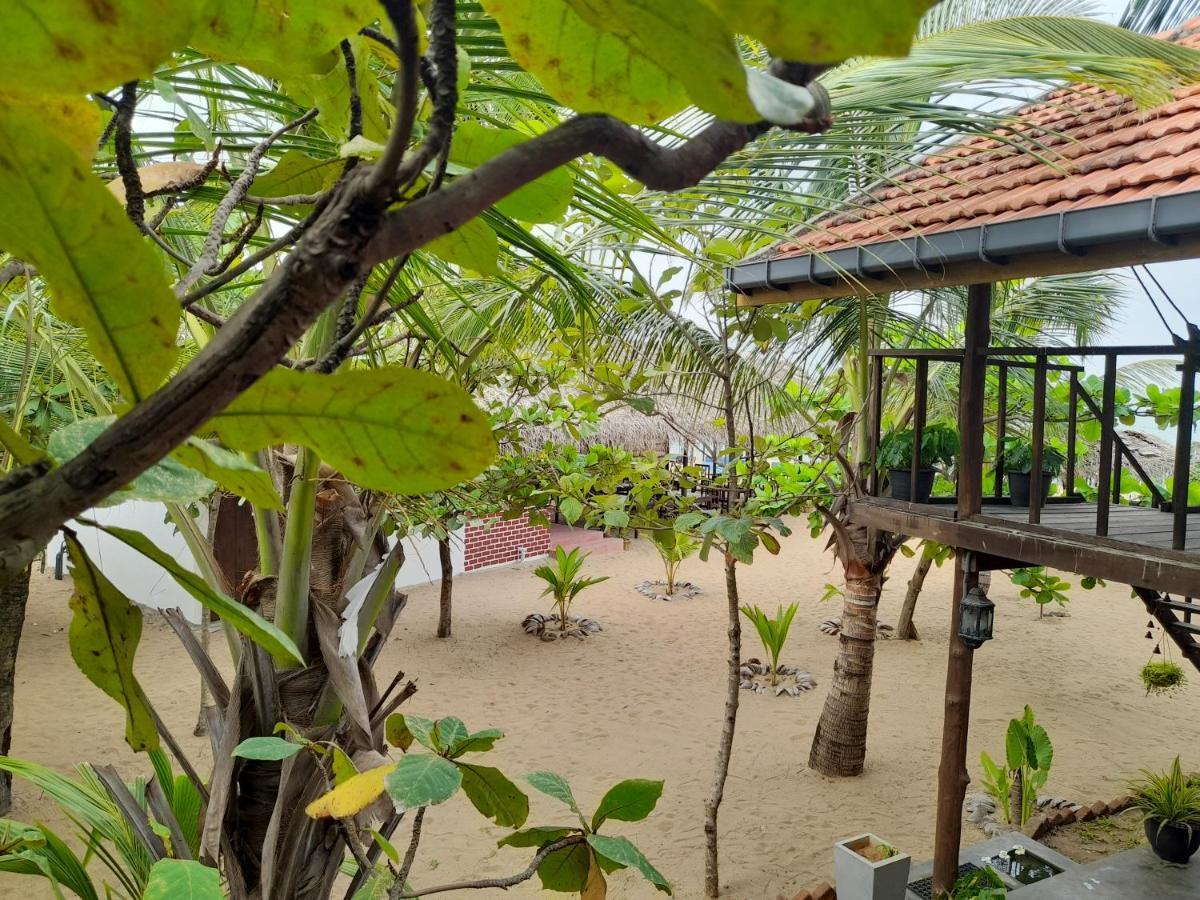 Golden Beach Chalets Arugam Bay Exteriér fotografie