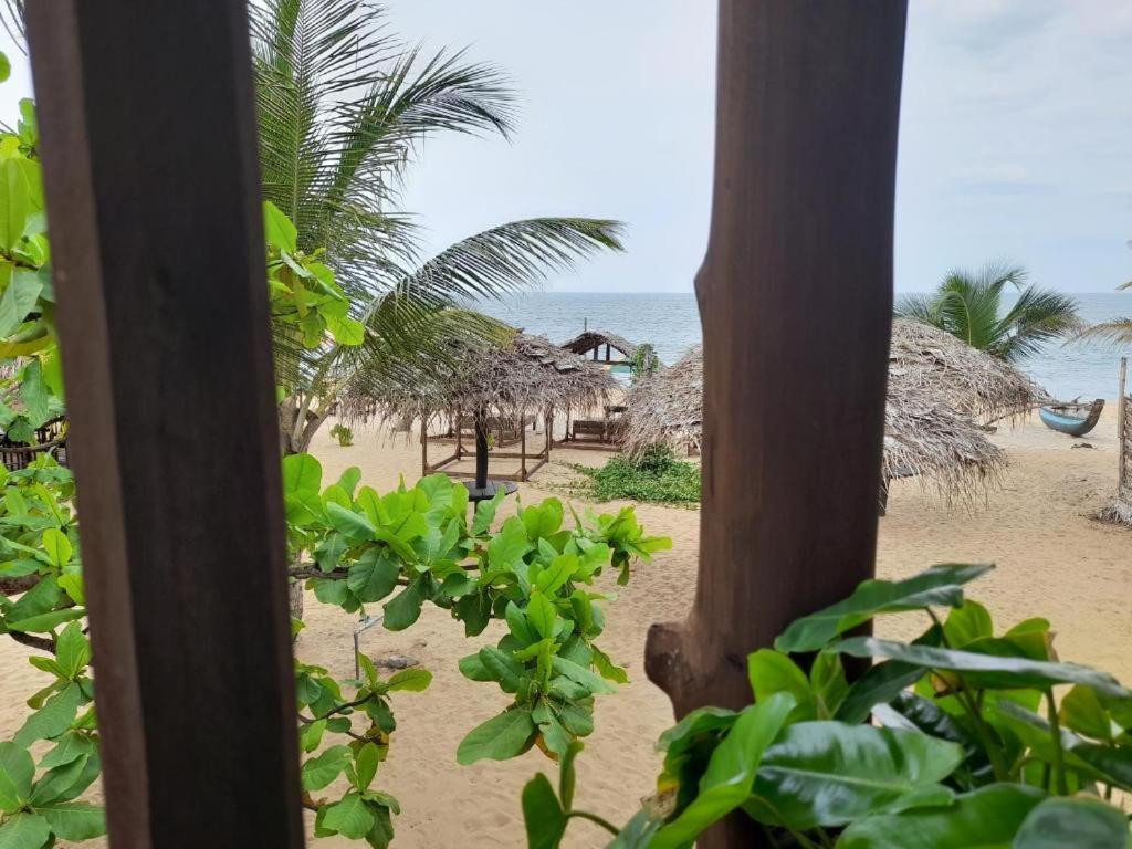 Golden Beach Chalets Arugam Bay Exteriér fotografie